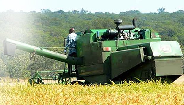 Secretariado do Conselho de Ministros Notícias Produção de arroz